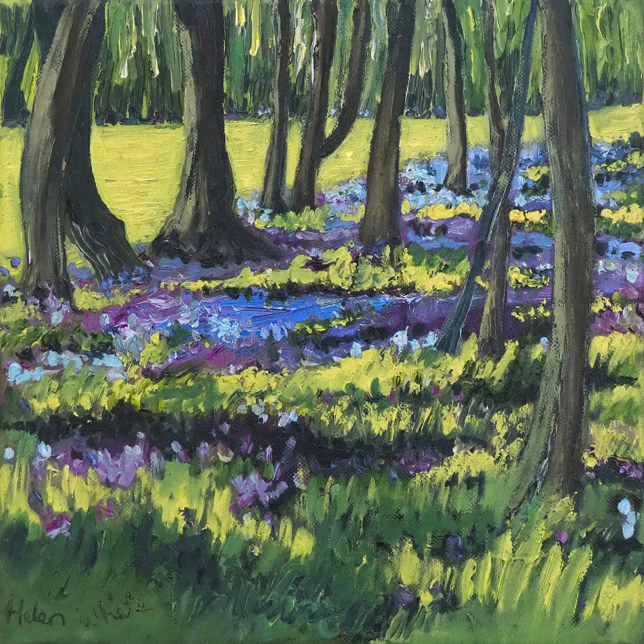 Bois de jacinthes, 2008 - Helen White