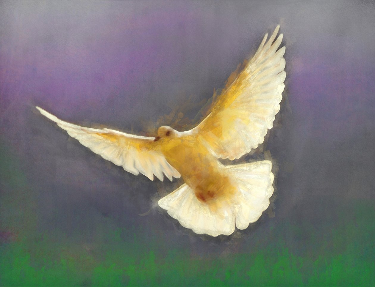 Porteur de paix, 2019 - Helen White