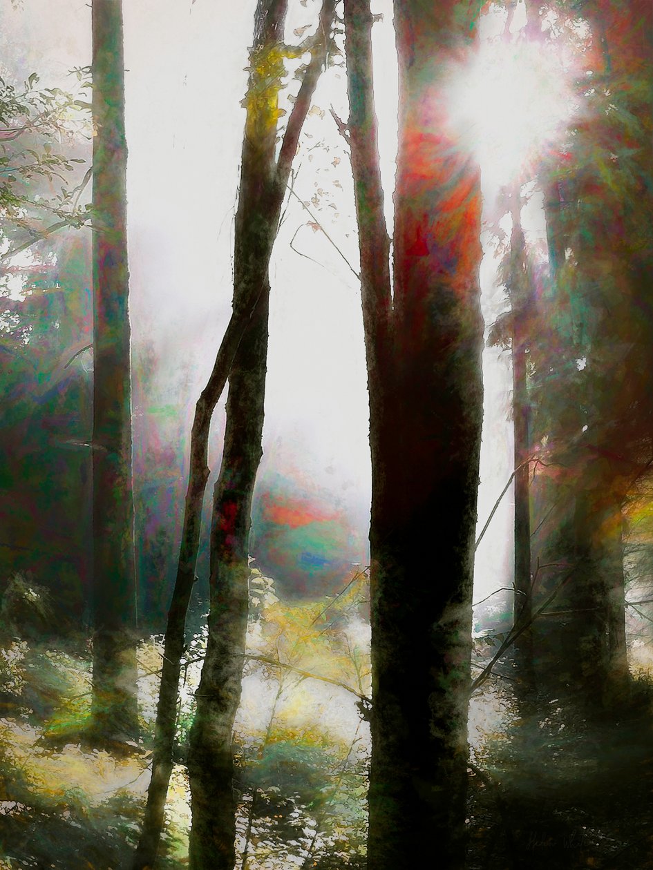 Oser croire - Helen White
