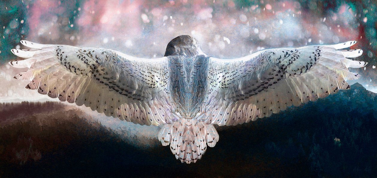 Oser Voler - Helen White
