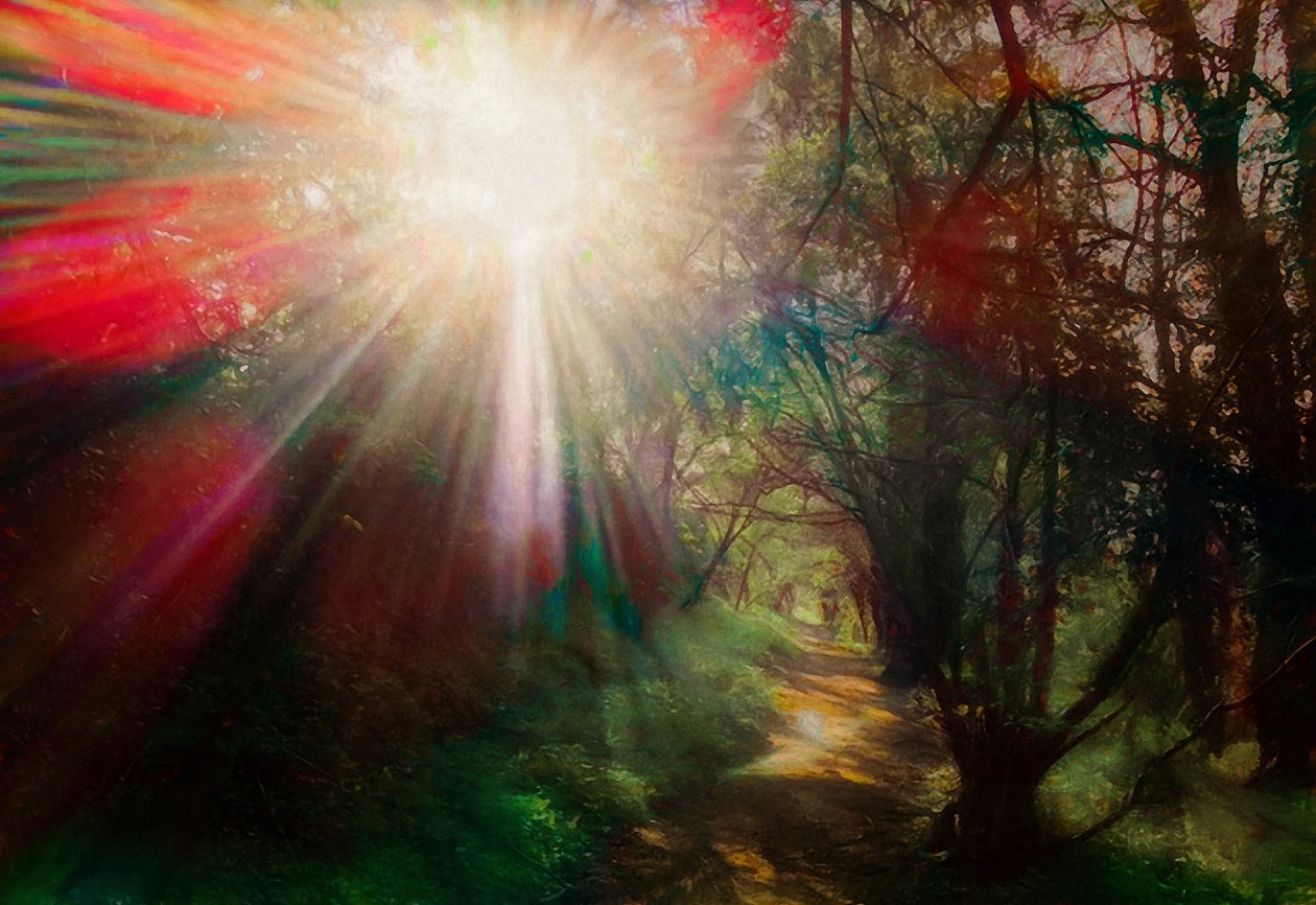Fleur de vie, 2020 - Helen White