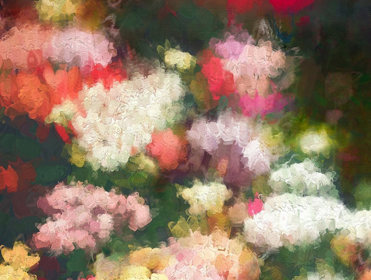 Jardin du cœur - Helen White