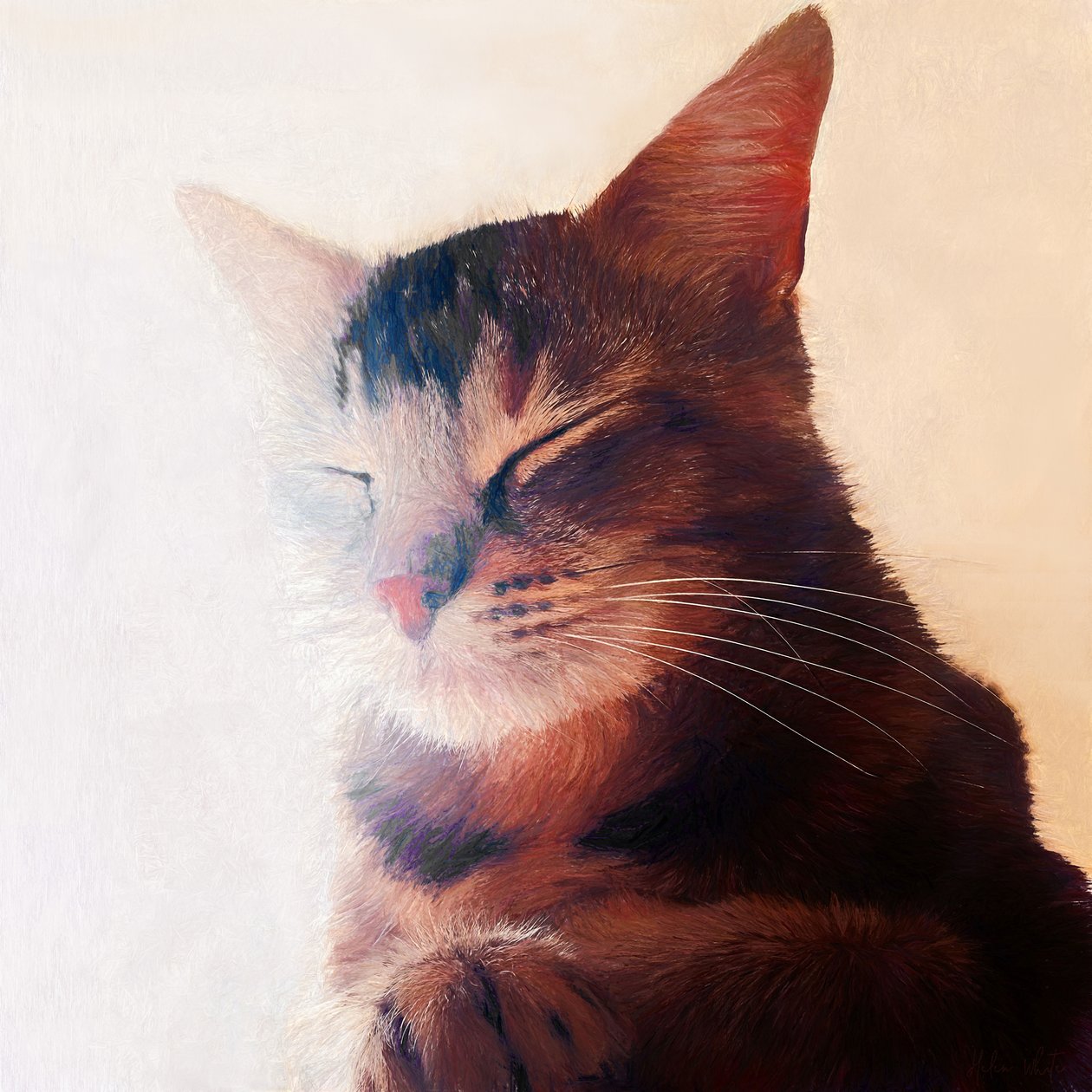 Purr-fect Spot - Helen White