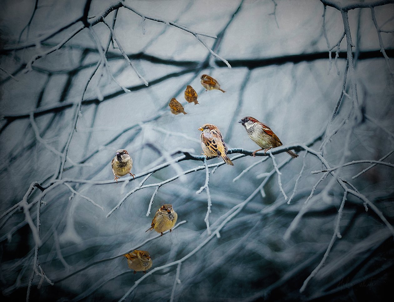 Teeming with Life - Helen White