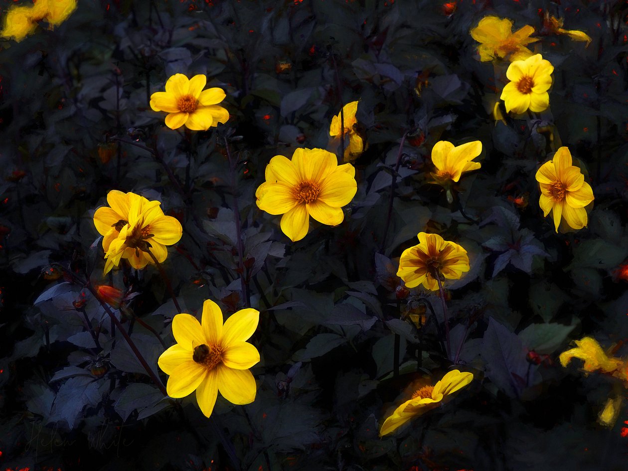 Velours jaune, 2019 - Helen White