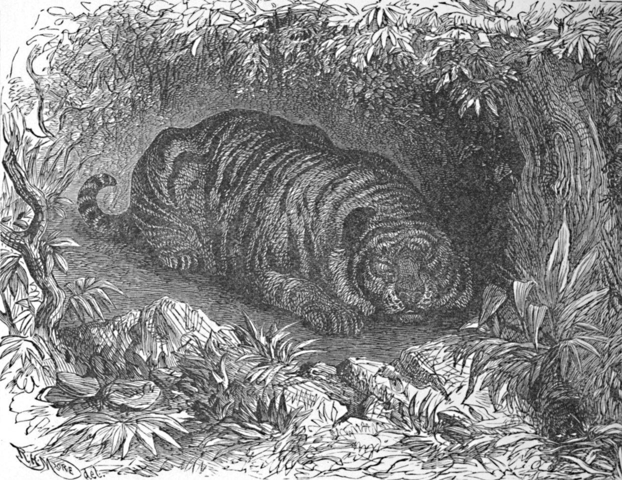 Une sieste après le dîner, vers 1900 - Helena J. Maguire