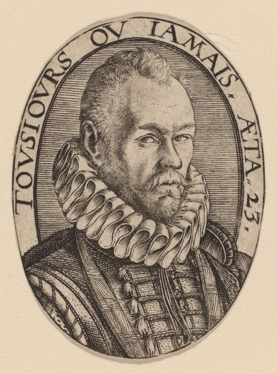 Arnout van Beresteyn - Hendrik Goltzius