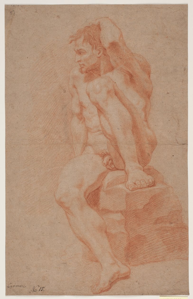 Étude de modèle masculin - Hendrik Krock