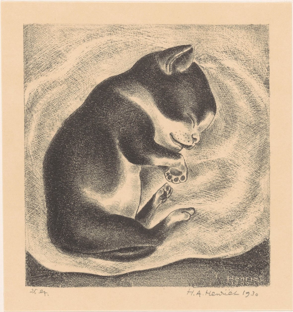 Jeune chat endormi - Henk Henriët (signed by artist)