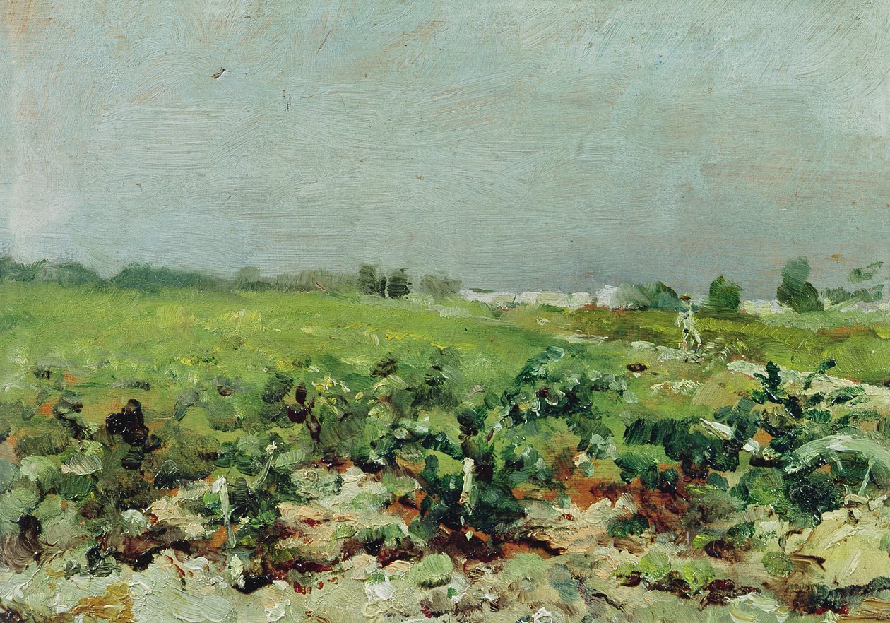 Celeyran, vue du vignoble, 1880 - Henri de Toulouse Lautrec