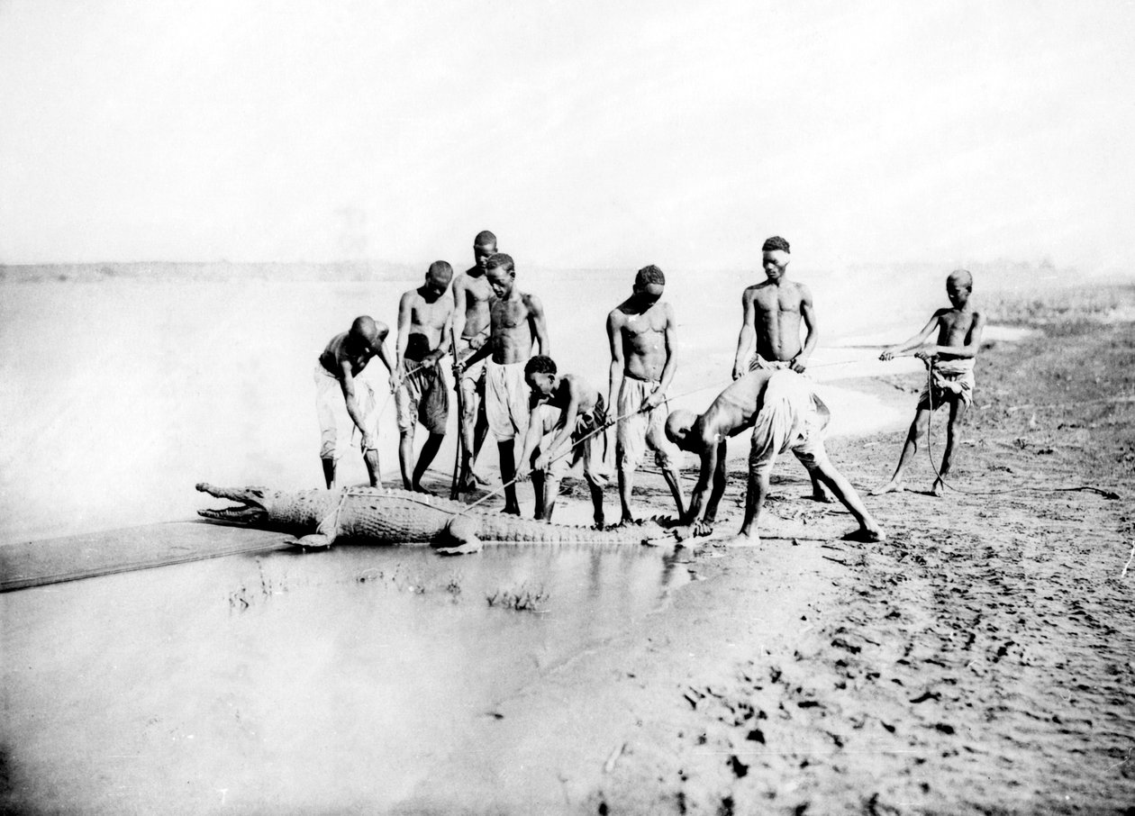 Chasse au crocodile, Nubie, Égypte - Georges Henri Bechard