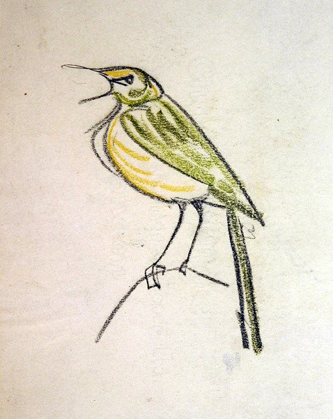 Oiseau - Henri Gaudier Brzeska