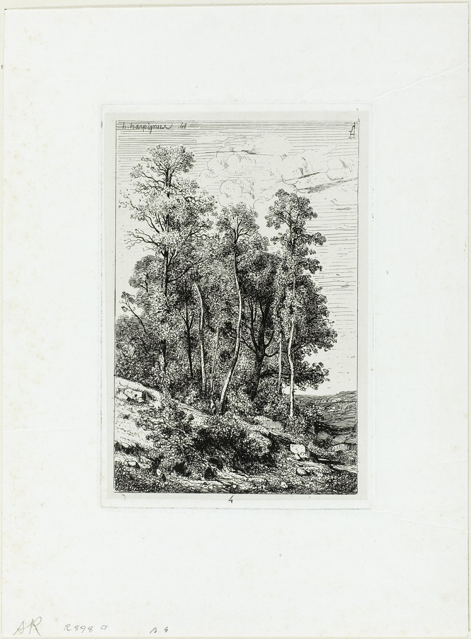 Bouleaux et chênes - Henri Joseph Harpignies