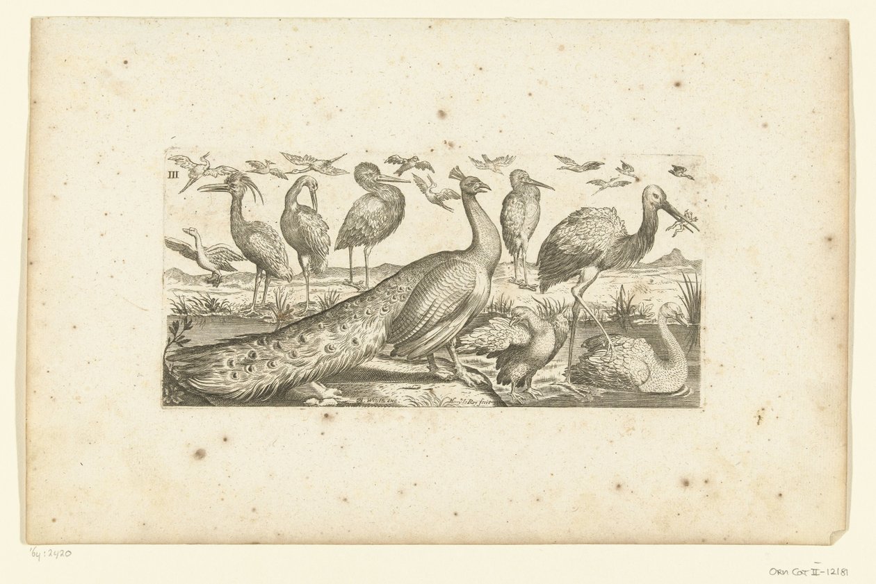 Dix-neuf oiseaux - Henri Le Roy