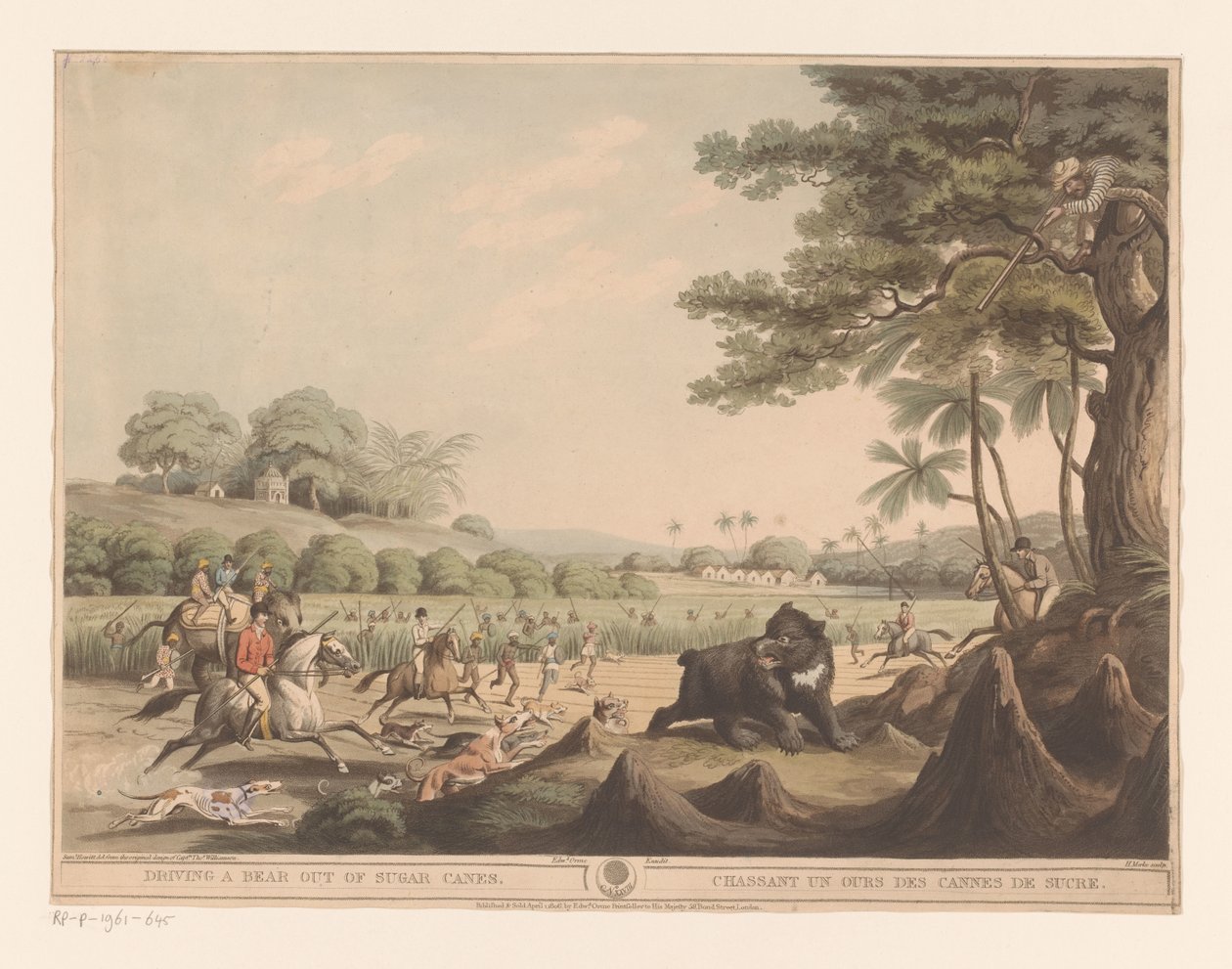 Chasse à l
