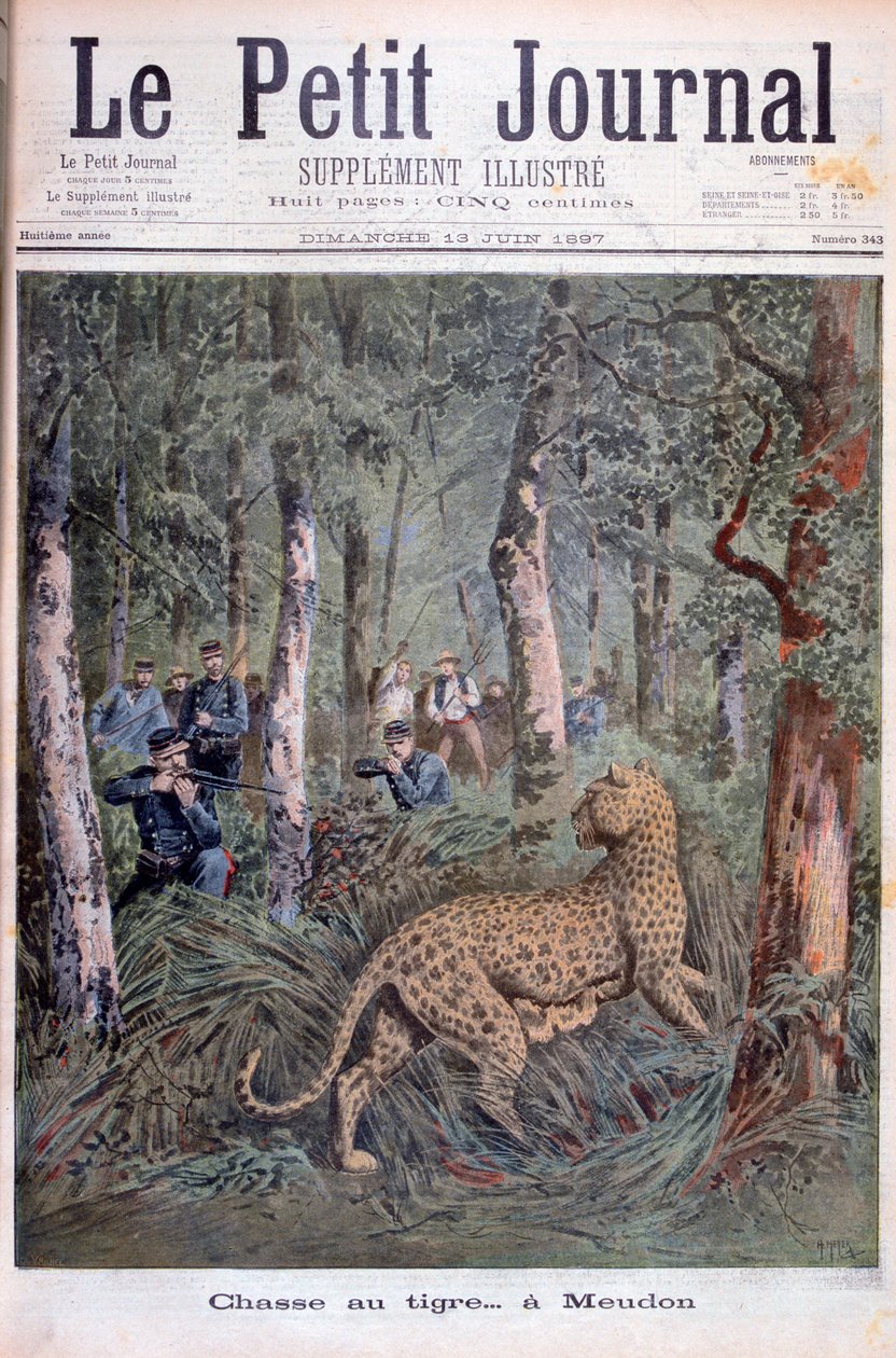 Chasse d