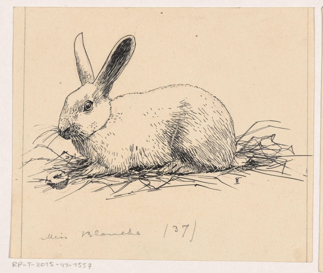 Lapin - Henri Verstijnen (signed by artist)
