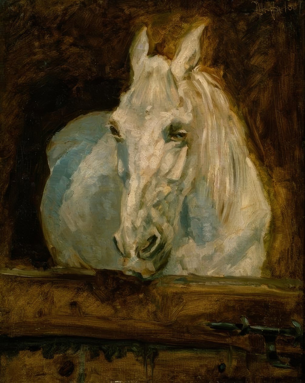 Le cheval blanc Gazelle - Henri de Toulouse Lautrec
