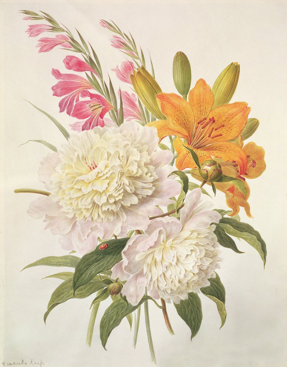 Bouquets de glaïeuls, pivoines et lis bulbifères - Henriette Gertruide Knip