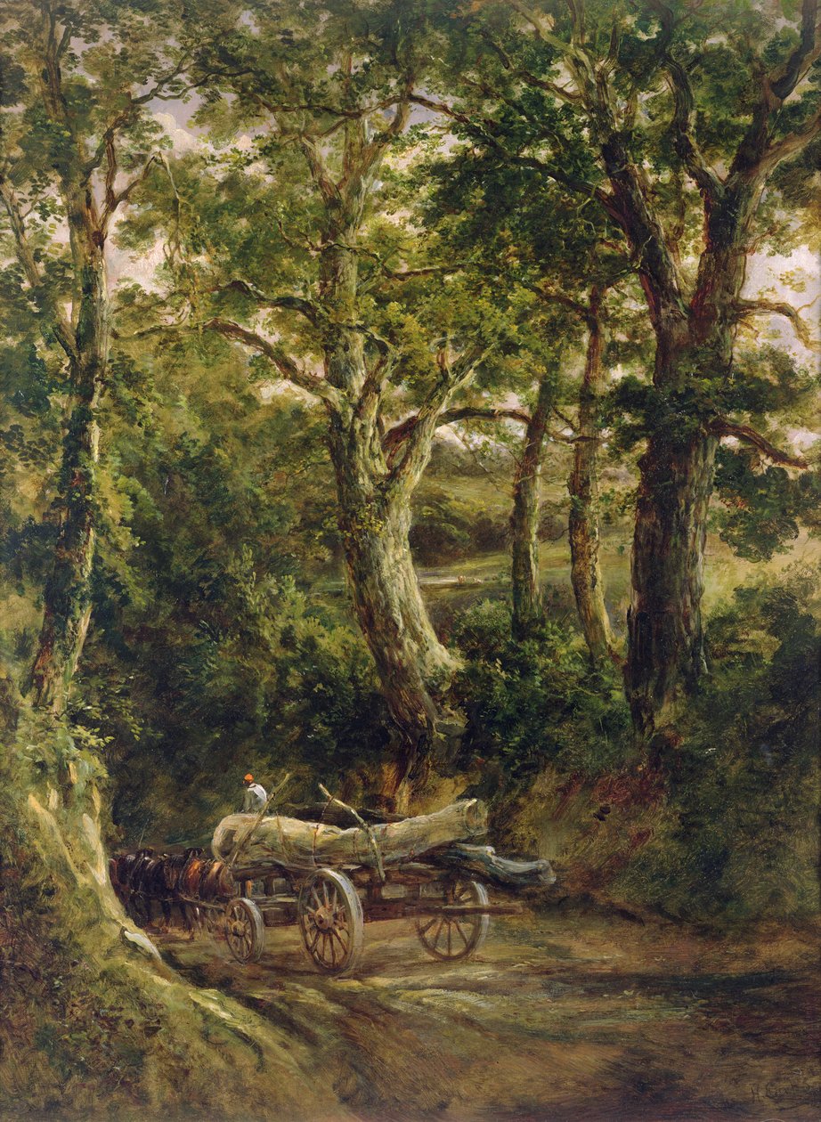 Récolte de bois - Henry Earp