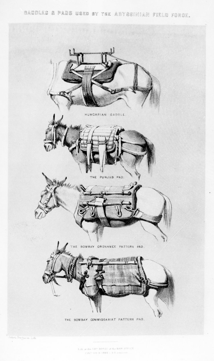 Selles et coussins utilisés par la force de campagne abyssinienne - Henry James