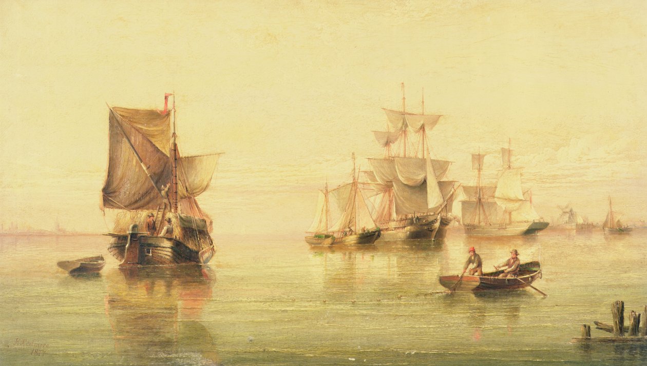 Pinks néerlandais - Henry Redmore
