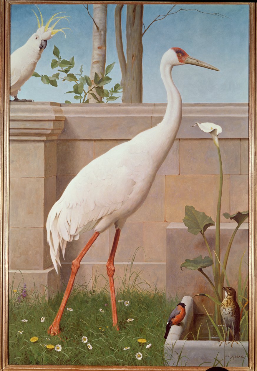 Grue indienne, cacatoès, bouvreuil et grive - Henry Stacey Marks