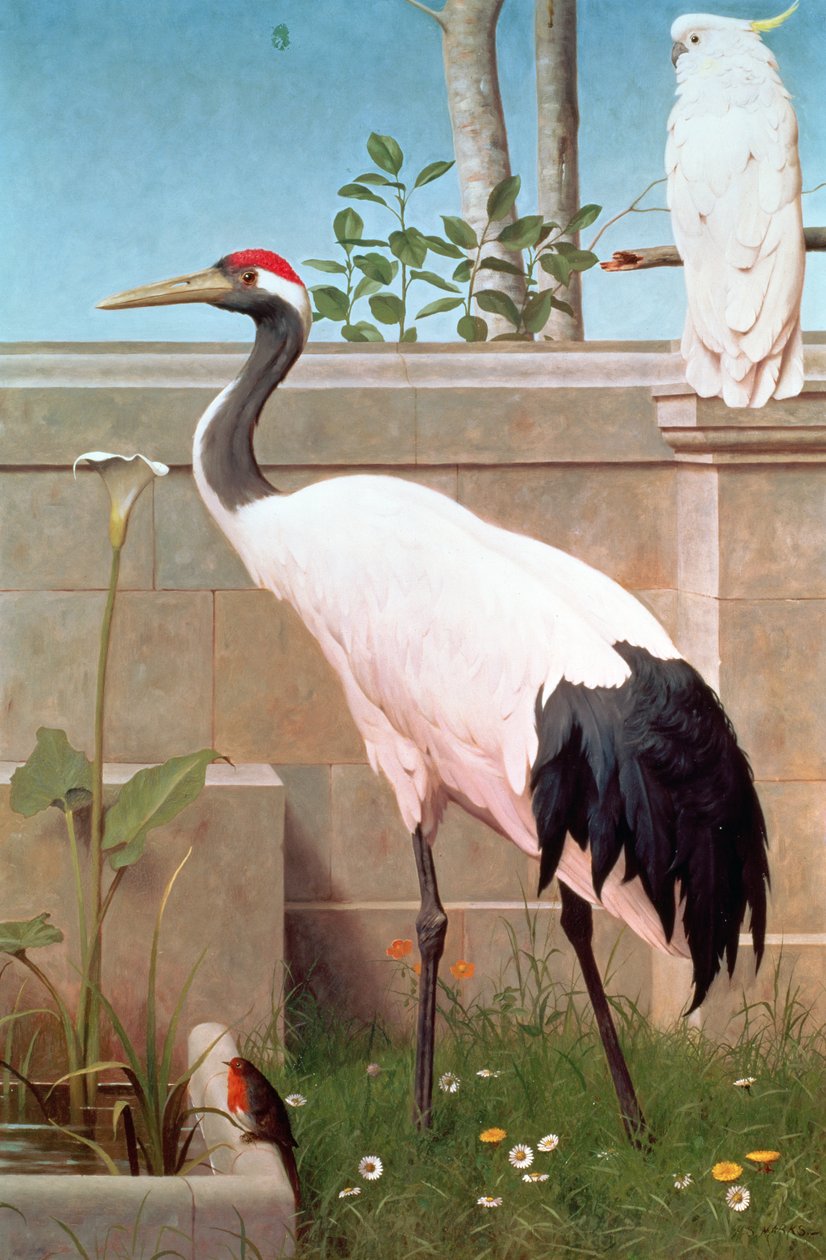 Grue de Mandchourie, cacatoès et rouge-gorge - Henry Stacey Marks