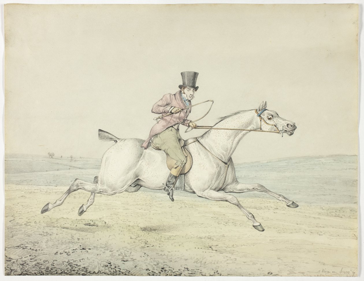 Oh, vous auriez dû voir le vieux Tom - Henry Alken
