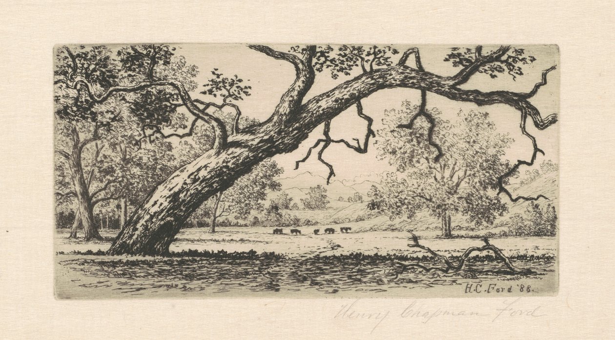 Paysage de Californie - Henry Chapman Ford