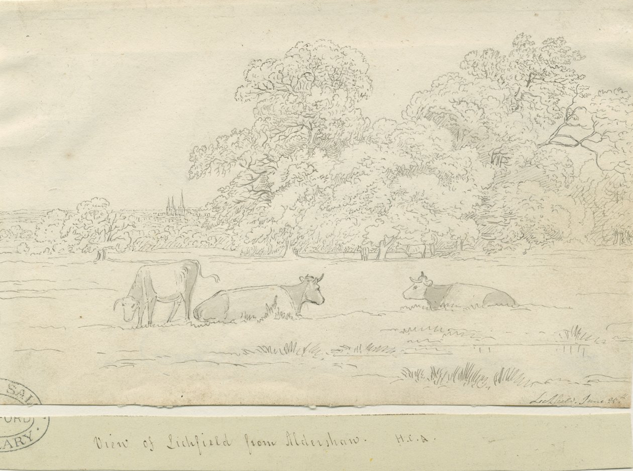 Lichfield - Vue depuis Aldershaw - Henry Curzon Allport