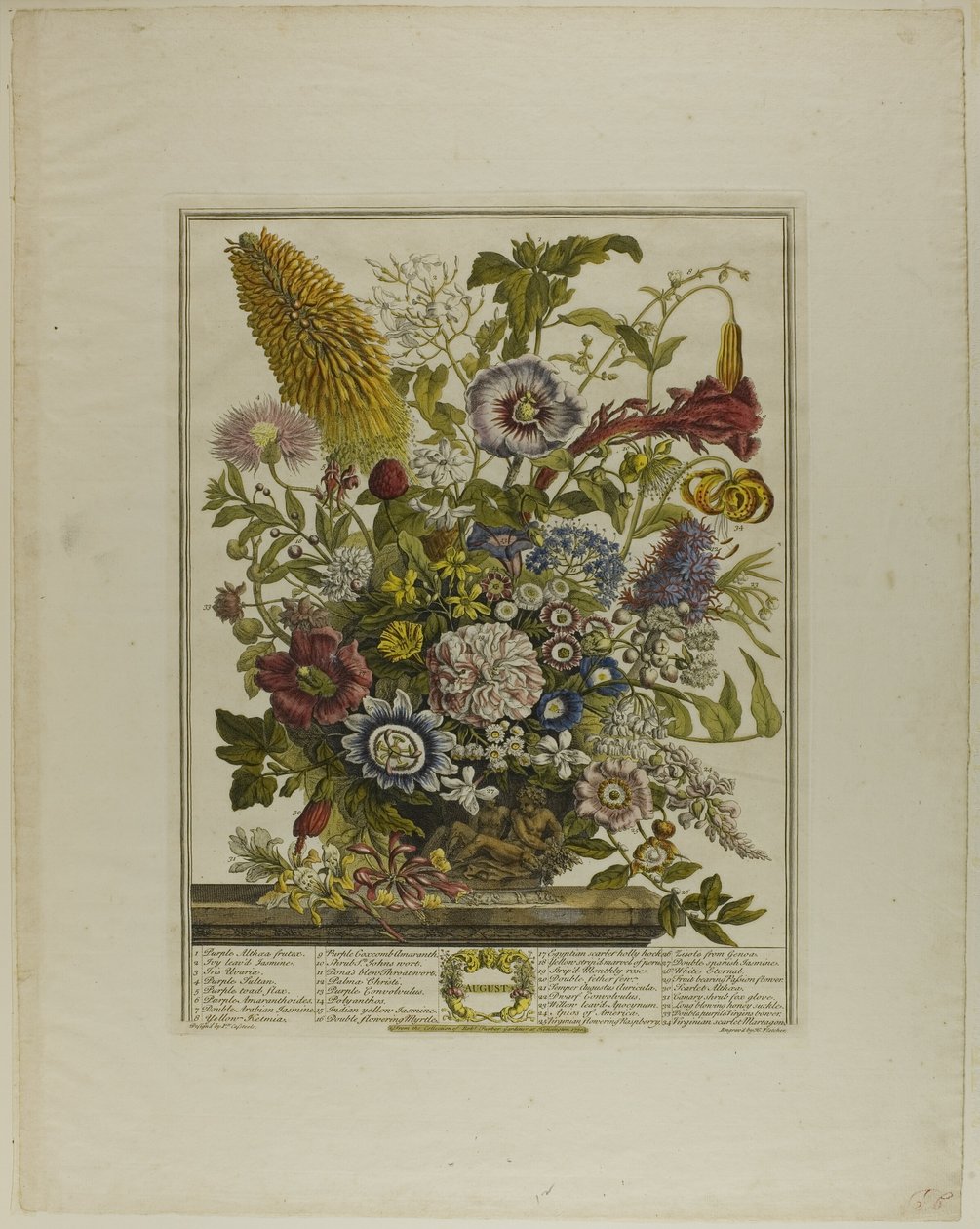 Août, des Douze Mois de Fleurs - Henry Fletcher