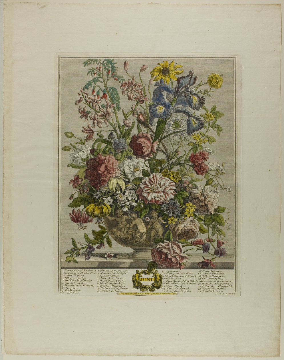 Juin, des Douze Mois de Fleurs - Henry Fletcher