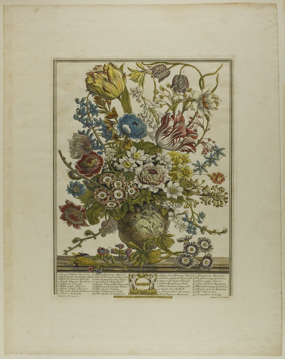 Mars, des Douze Mois de Fleurs - Henry Fletcher