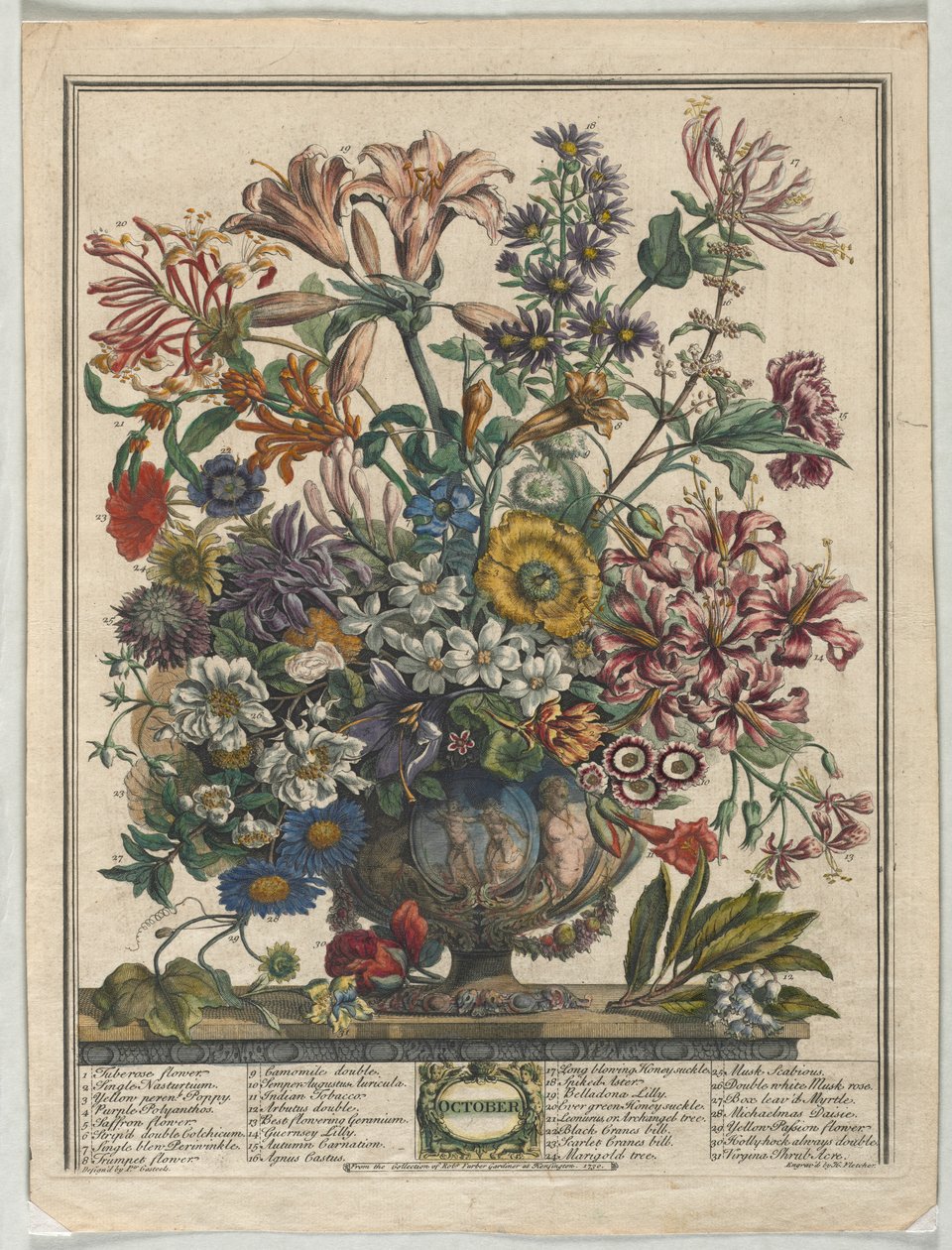 Douze mois de fleurs : octobre, 1730 - Henry Fletcher