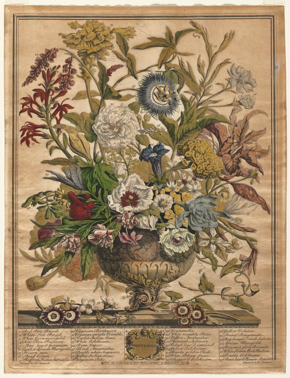 Douze mois de fleurs : Septembre - Henry Fletcher