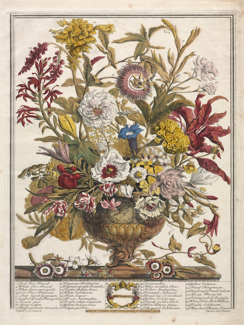 Douze Mois de Fleurs: Septembre, 1730. - Henry Fletcher