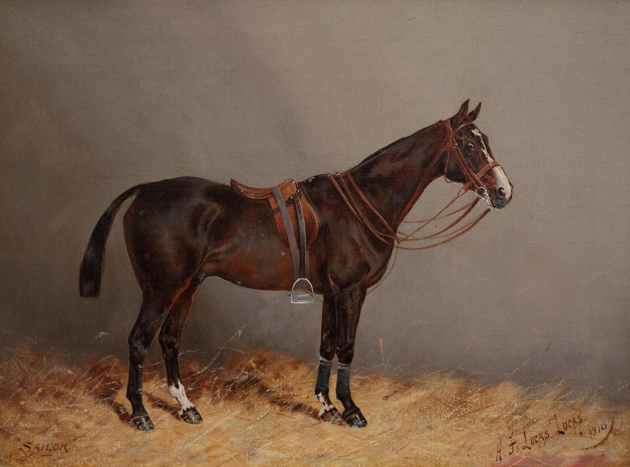 Marin - Henry Frederick Lucas Lucas