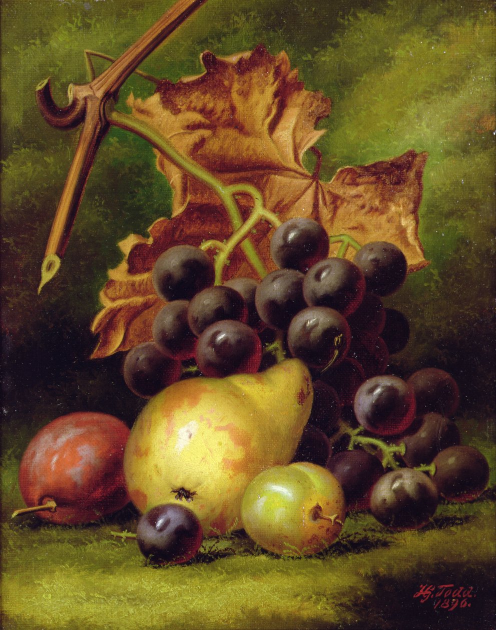 Nature morte - Henry George Todd