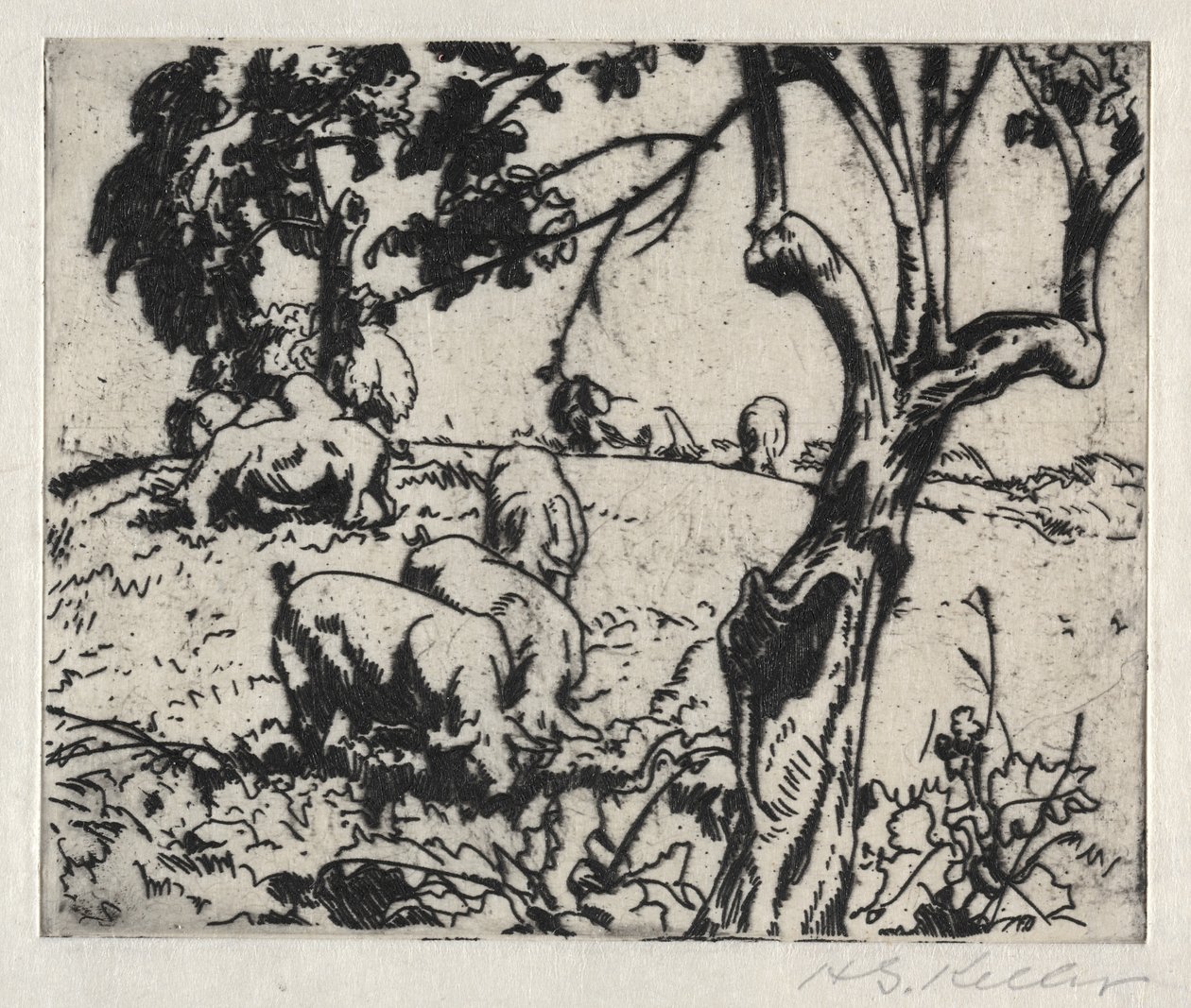 Cochons dans le verger - Henry Keller