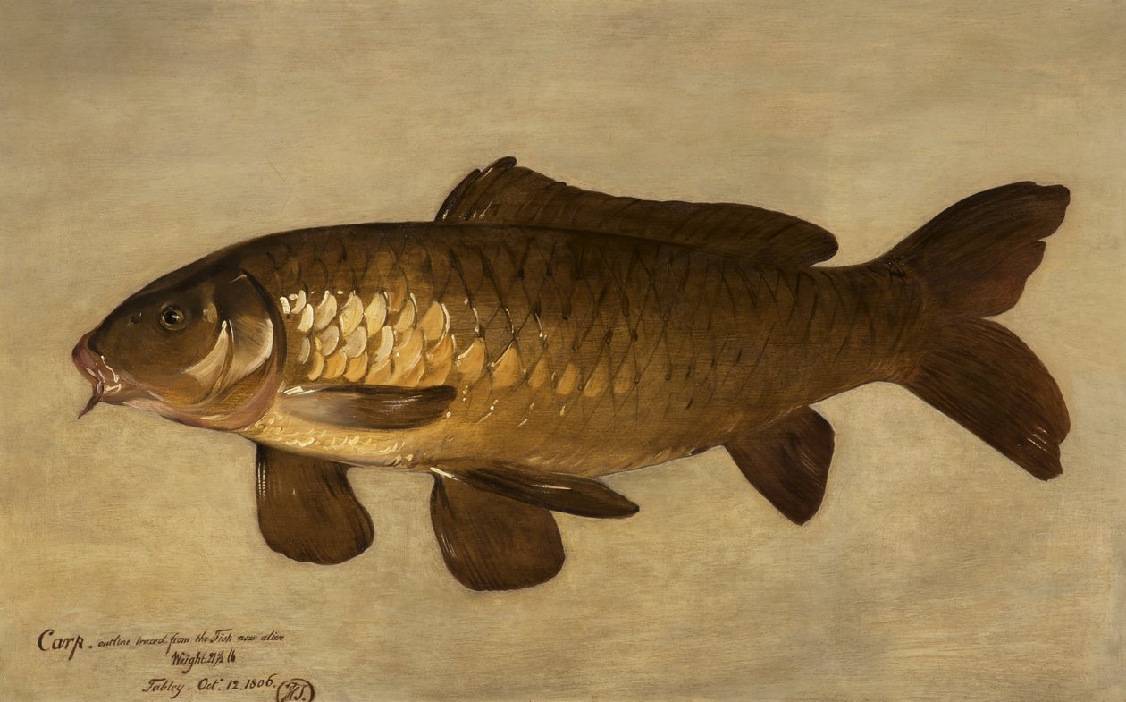 Carpe, 1806 - Henry Thomson