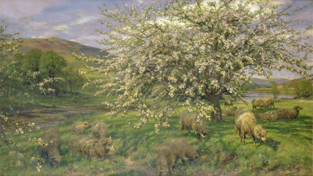 Image inconnue - Henry William Banks Davis