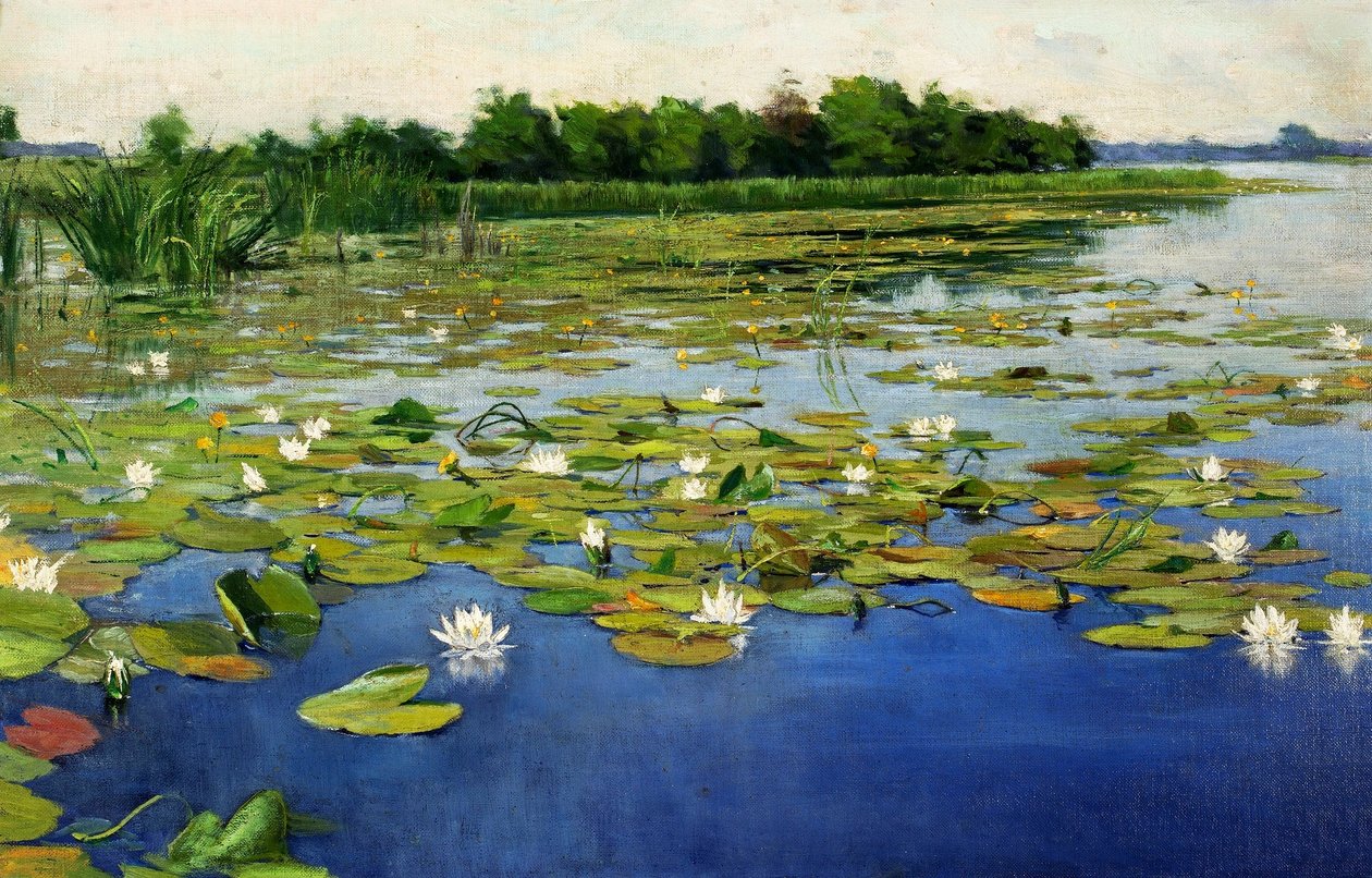 Nénuphars - Henryk Weyssenhoff