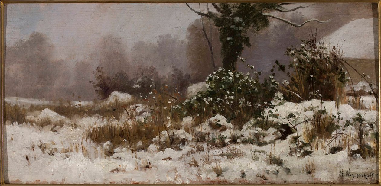 Paysage d