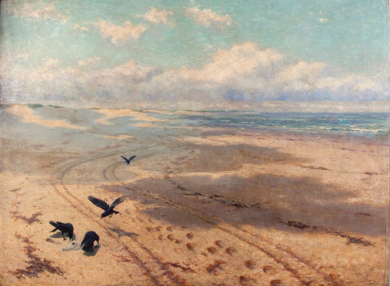 Sables de Newton - Herbert Charles Sheppard