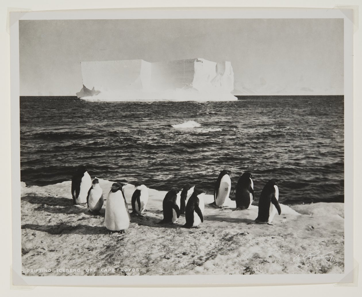 Iceberg à la dérive au large du cap Royds - Herbert Ponting