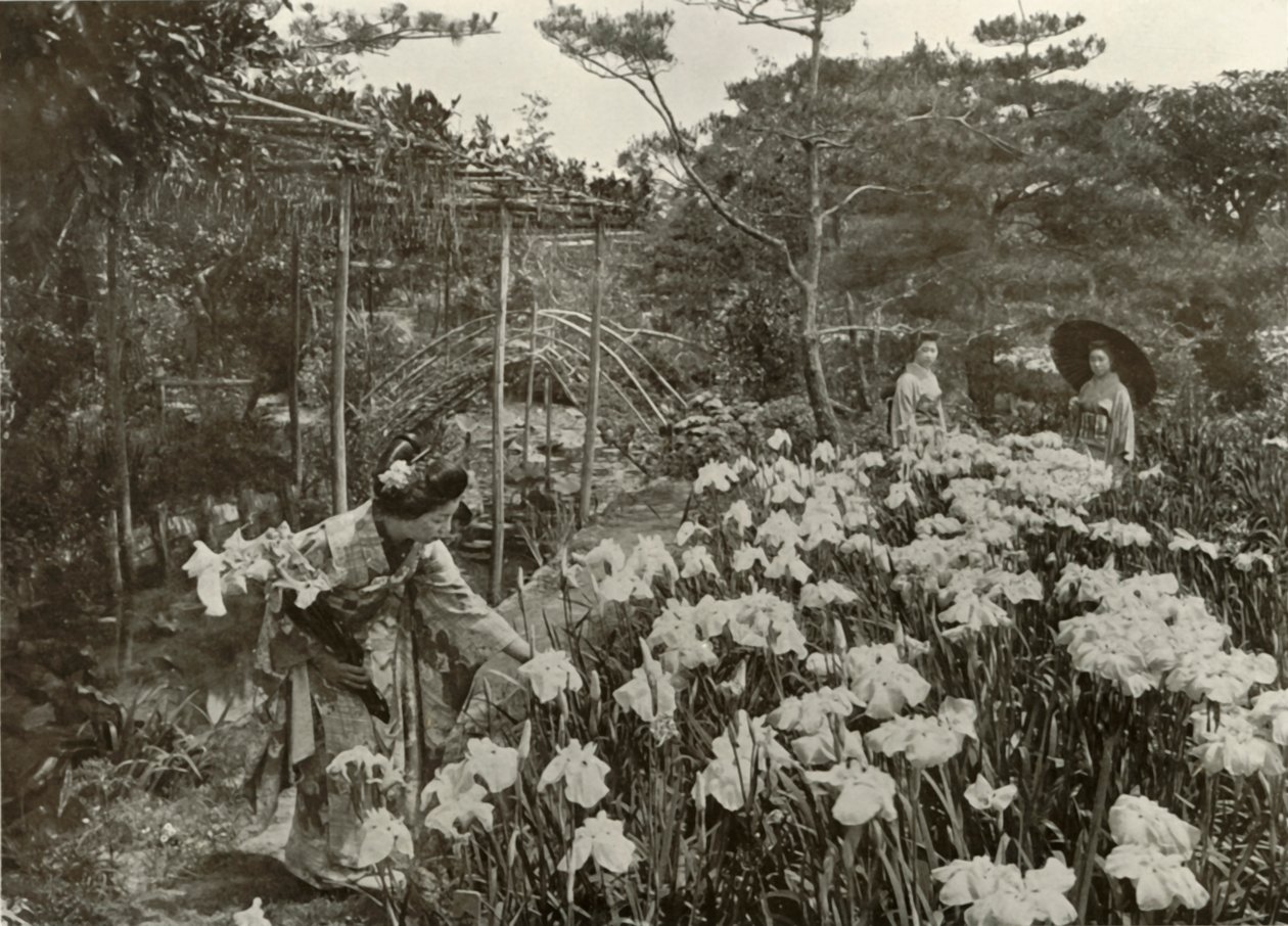 Dans un jardin d