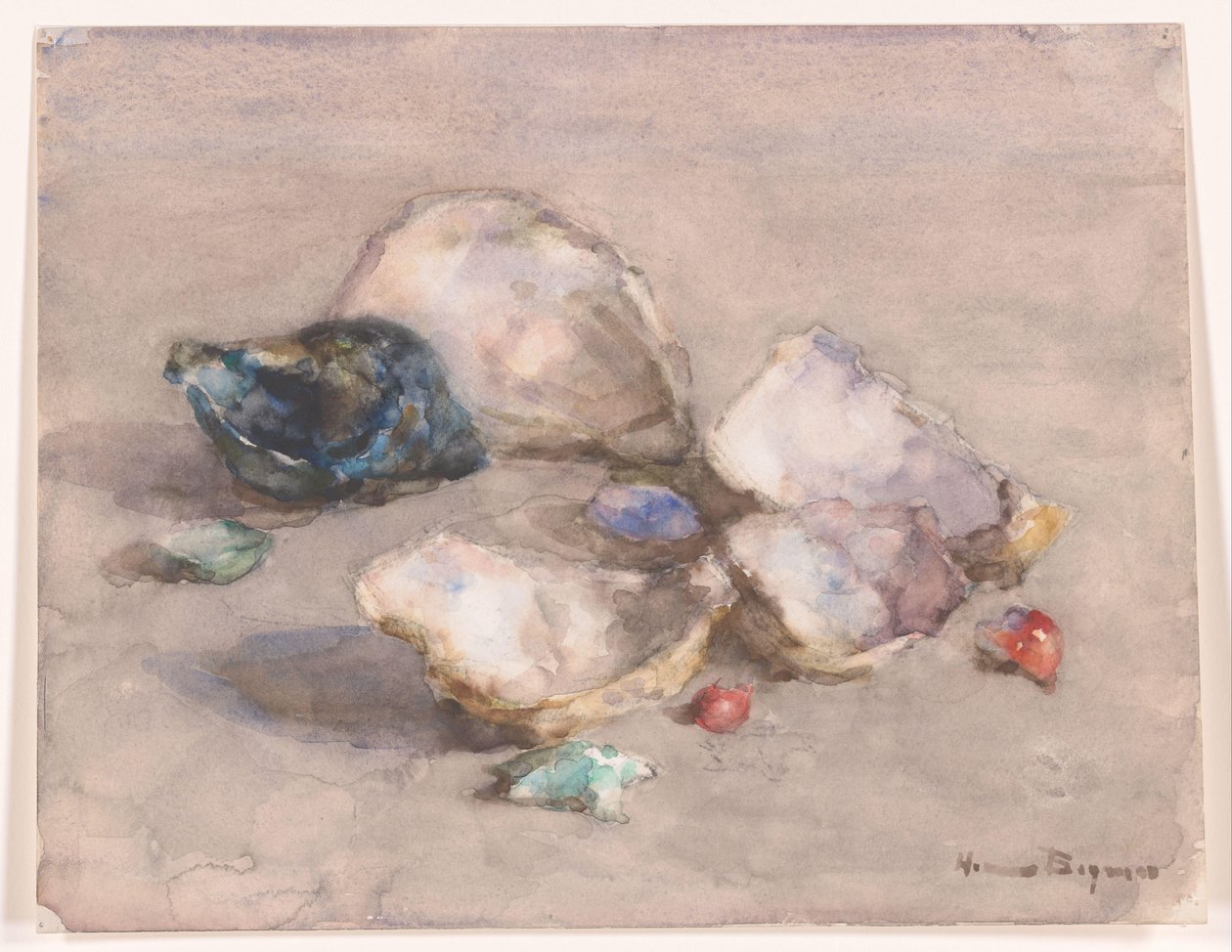 Coquillages sur la plage - Herman Bogman (signed by artist)
