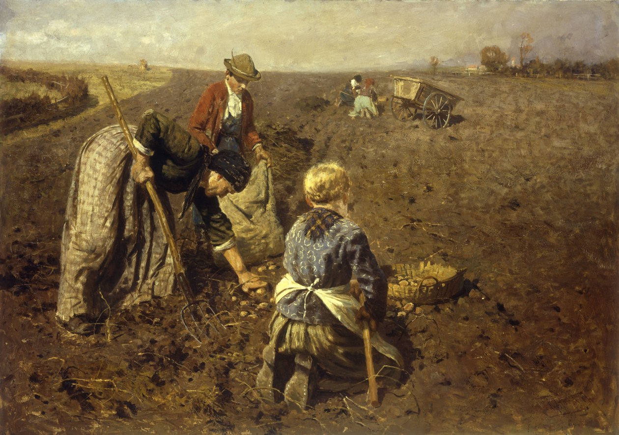 La Récolte des pommes de terre - Herman Hartwich