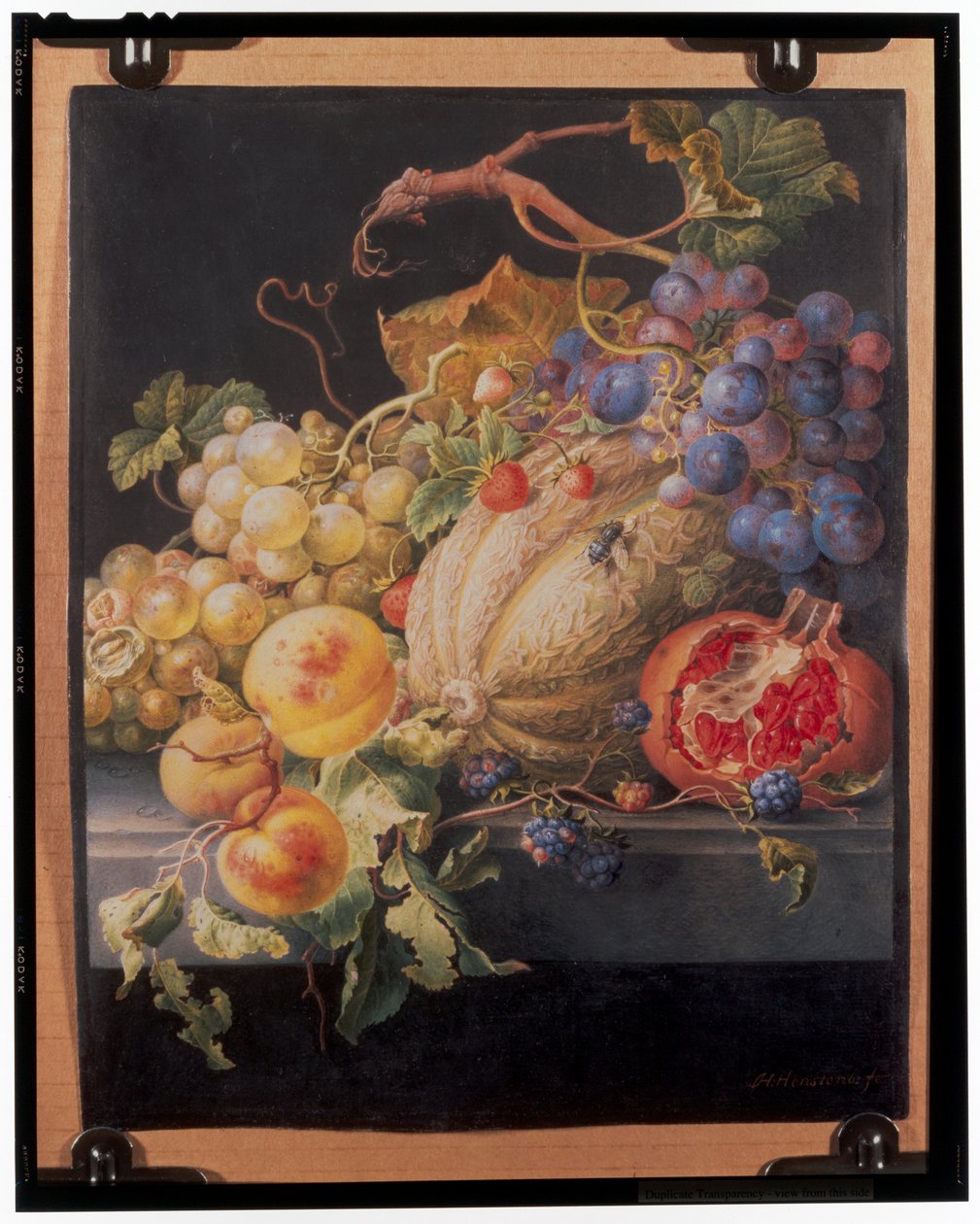 Nature morte de fruits - Herman Henstenburgh